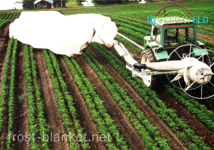installing  Invernavelo frost blanket protector with specialized agricultural machinery