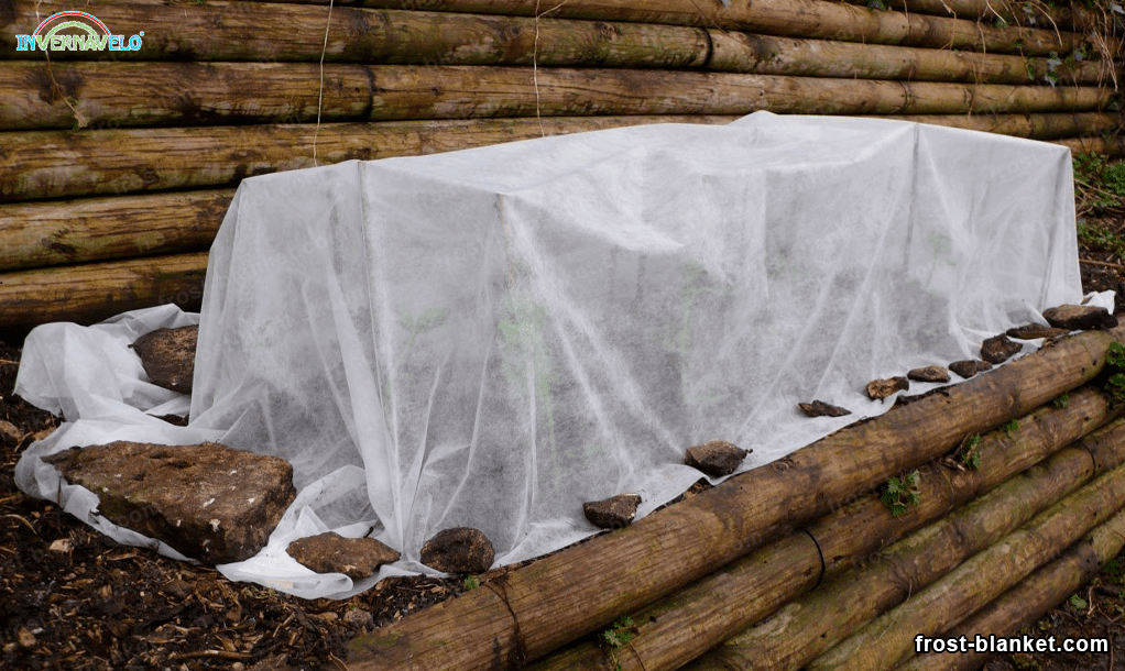 frost protection blanket in garden