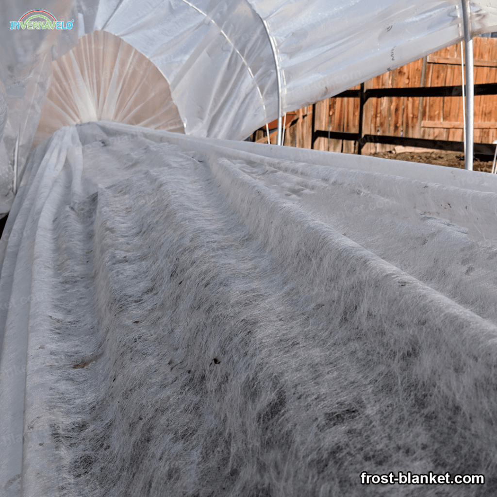 microtunnel made with thermal blanket