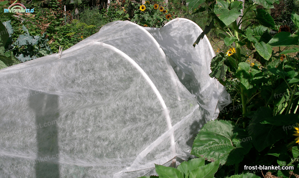 a microtunnel with a thermal blanket