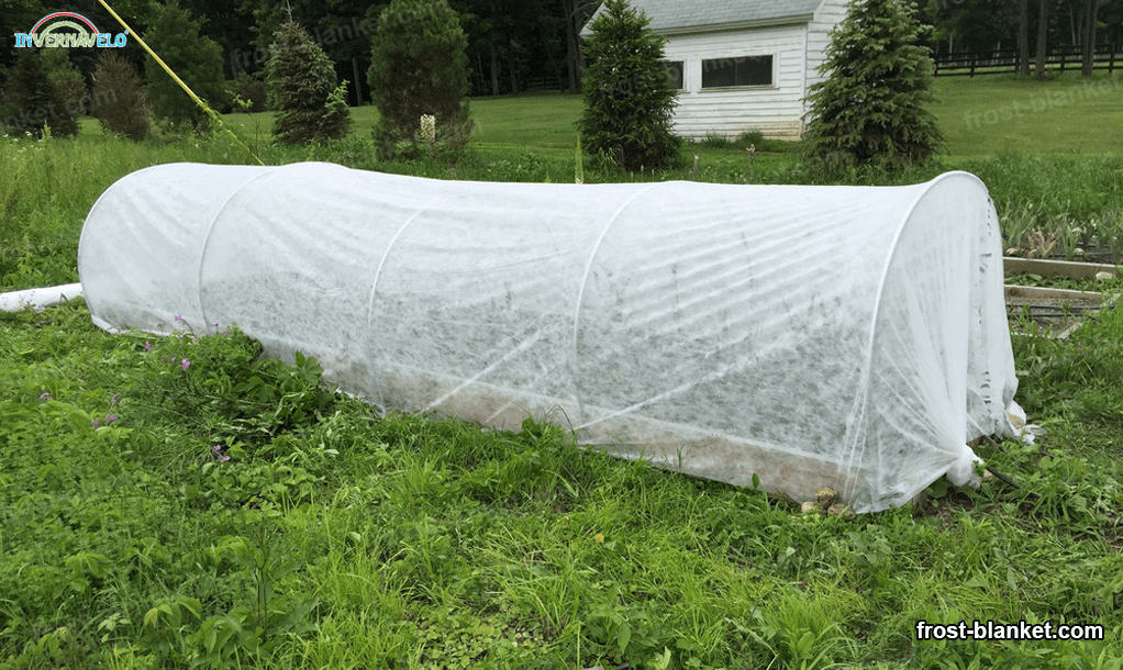 microtunnel of thermal blanket installed in a garden